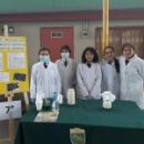 Claudia  Andrea Araya Rubina