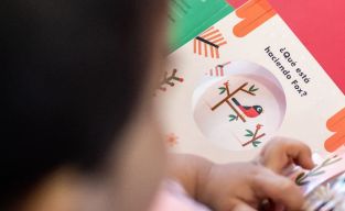 RECONSTRUYENDO EL APRENDIZAJE EN LA ESCUELA DE LIRQUEN II